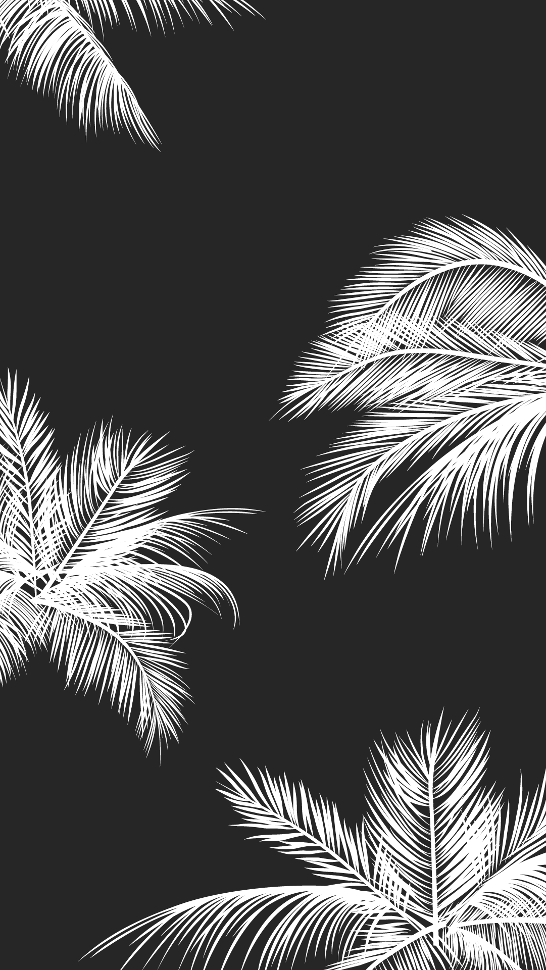 black and white palm wallpaper