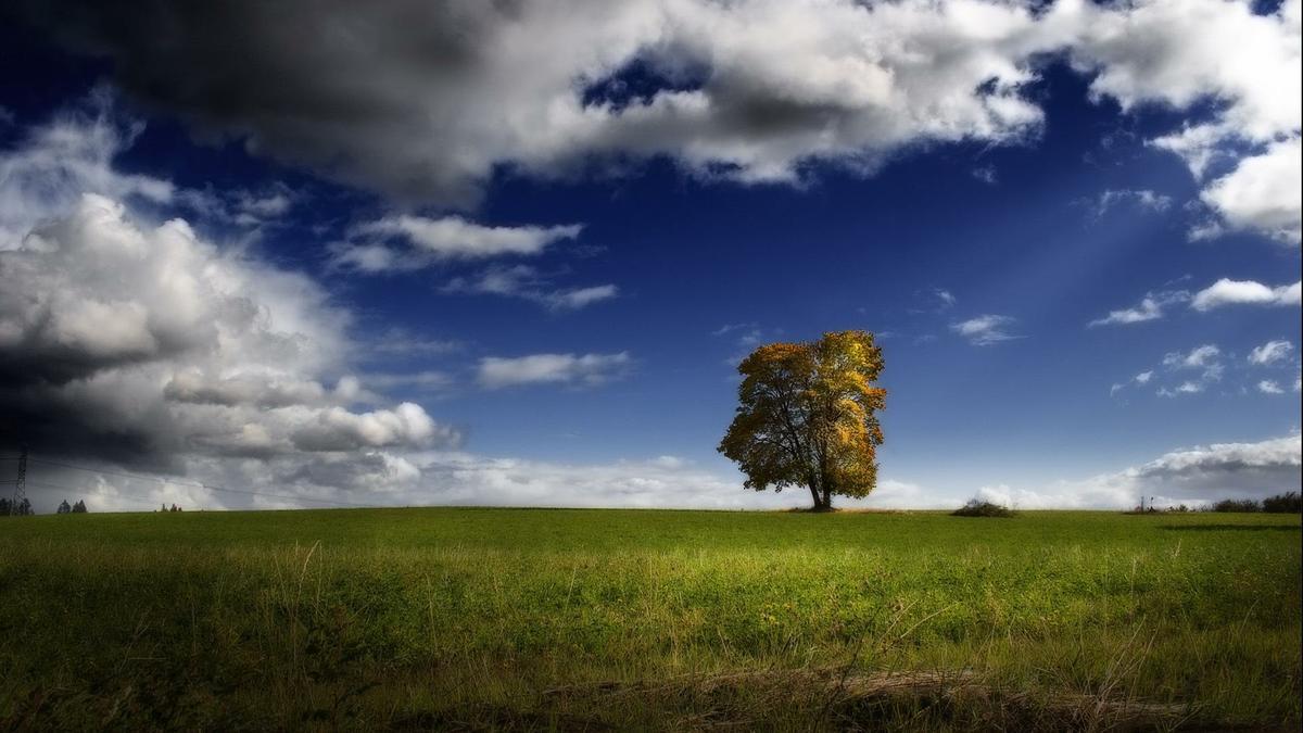 1200x675 Photo: Nature Full HD Wallpaper National Geographic 7822815