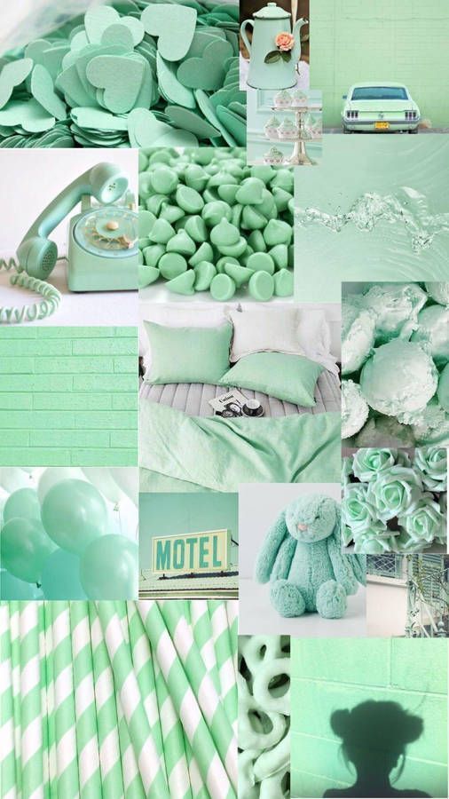 506x900 Light Green Aesthetic Wallpaper