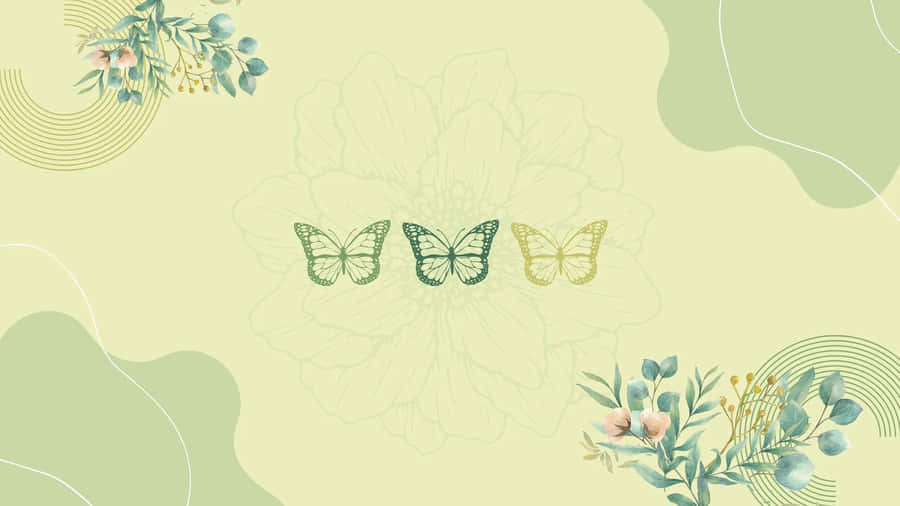 900x506 Sage Green Laptop Wallpaper