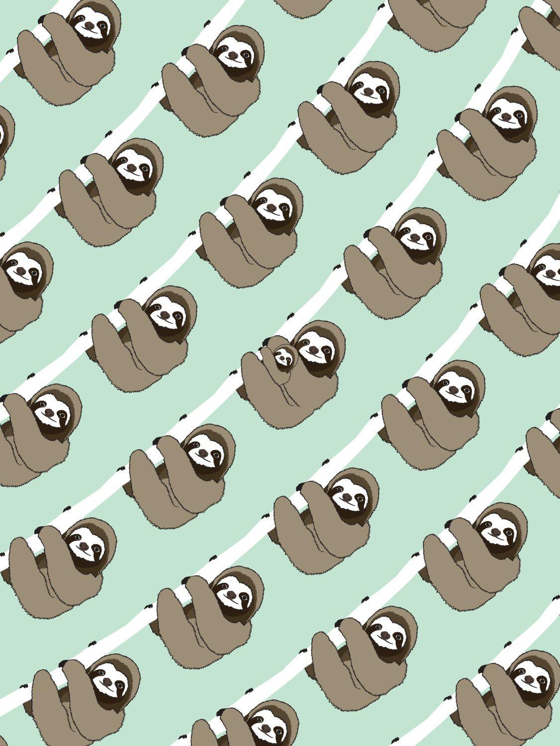 sloth wallpaper phone