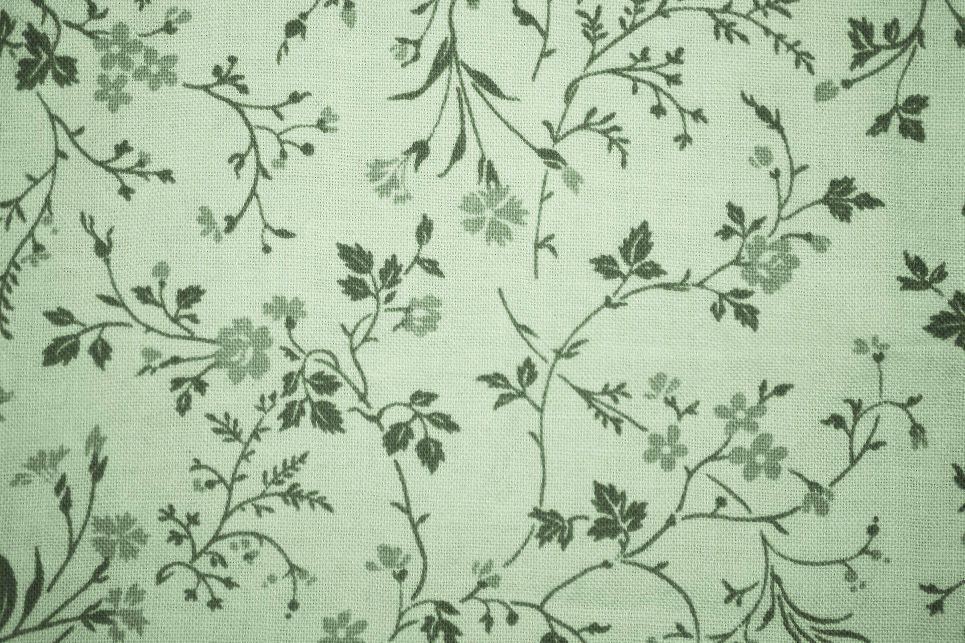 1920x1280 Sage Green Aesthetic Wallpaper