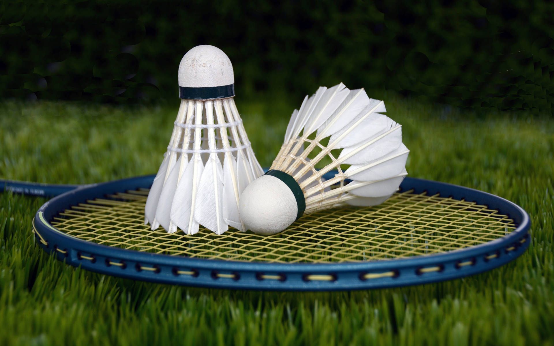 1920x1200 Blue Racket Wallpaper