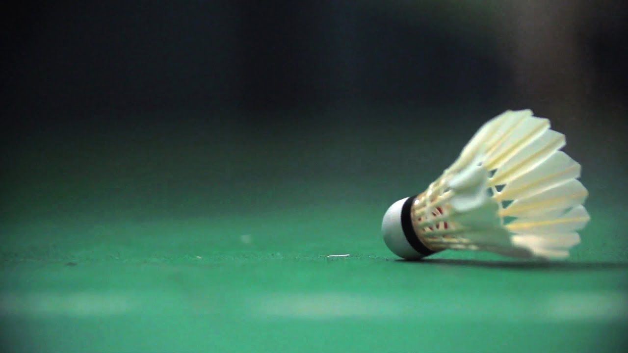 1280x720 Birdie In Flight: The Science