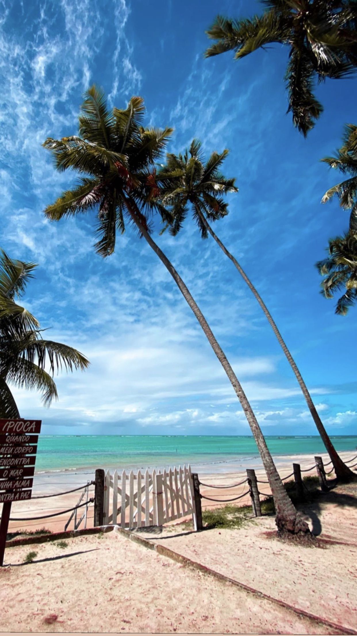 1242x2208 Maceió Wallpaper