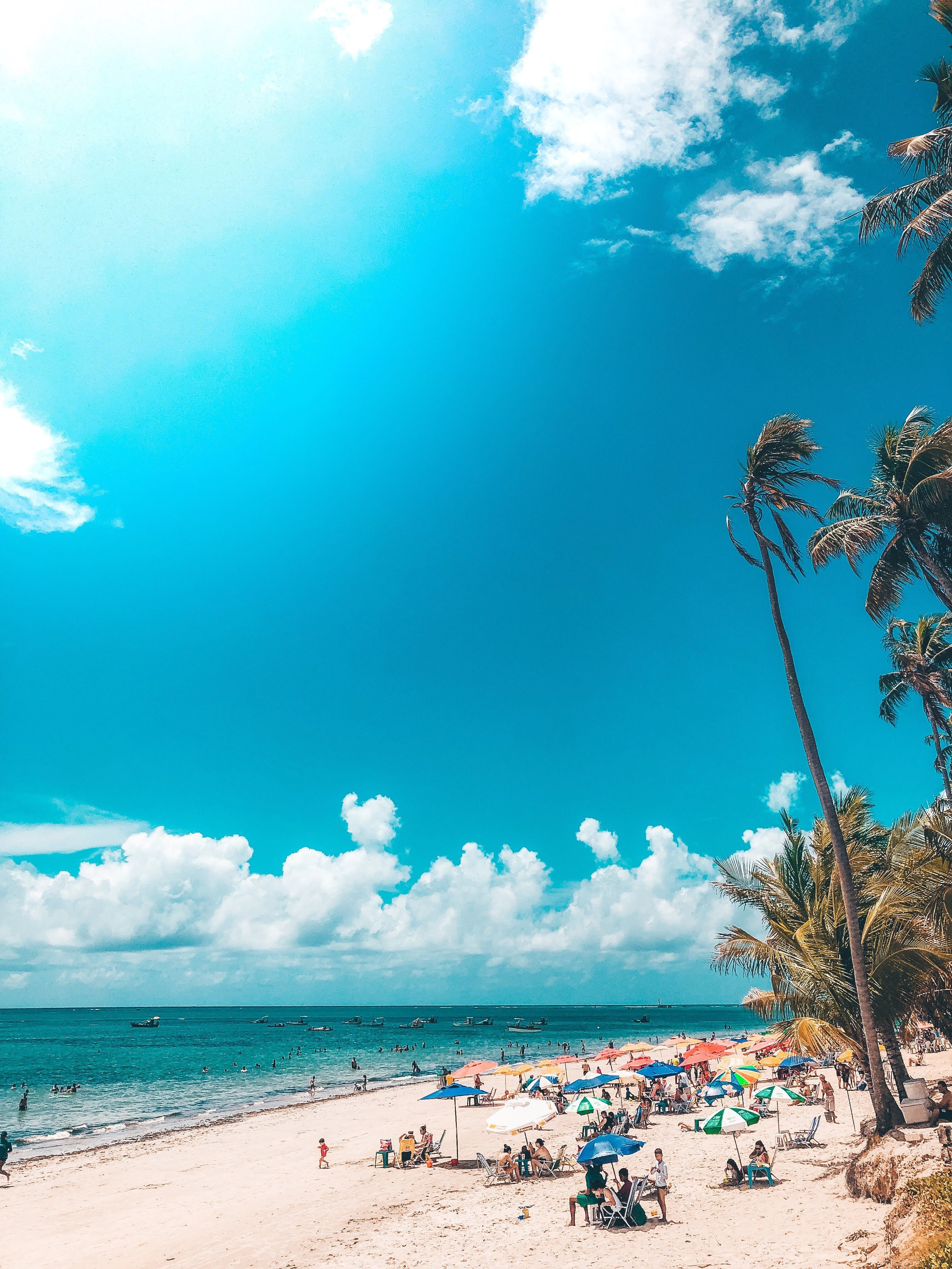 3024x4032 Maceió Wallpaper