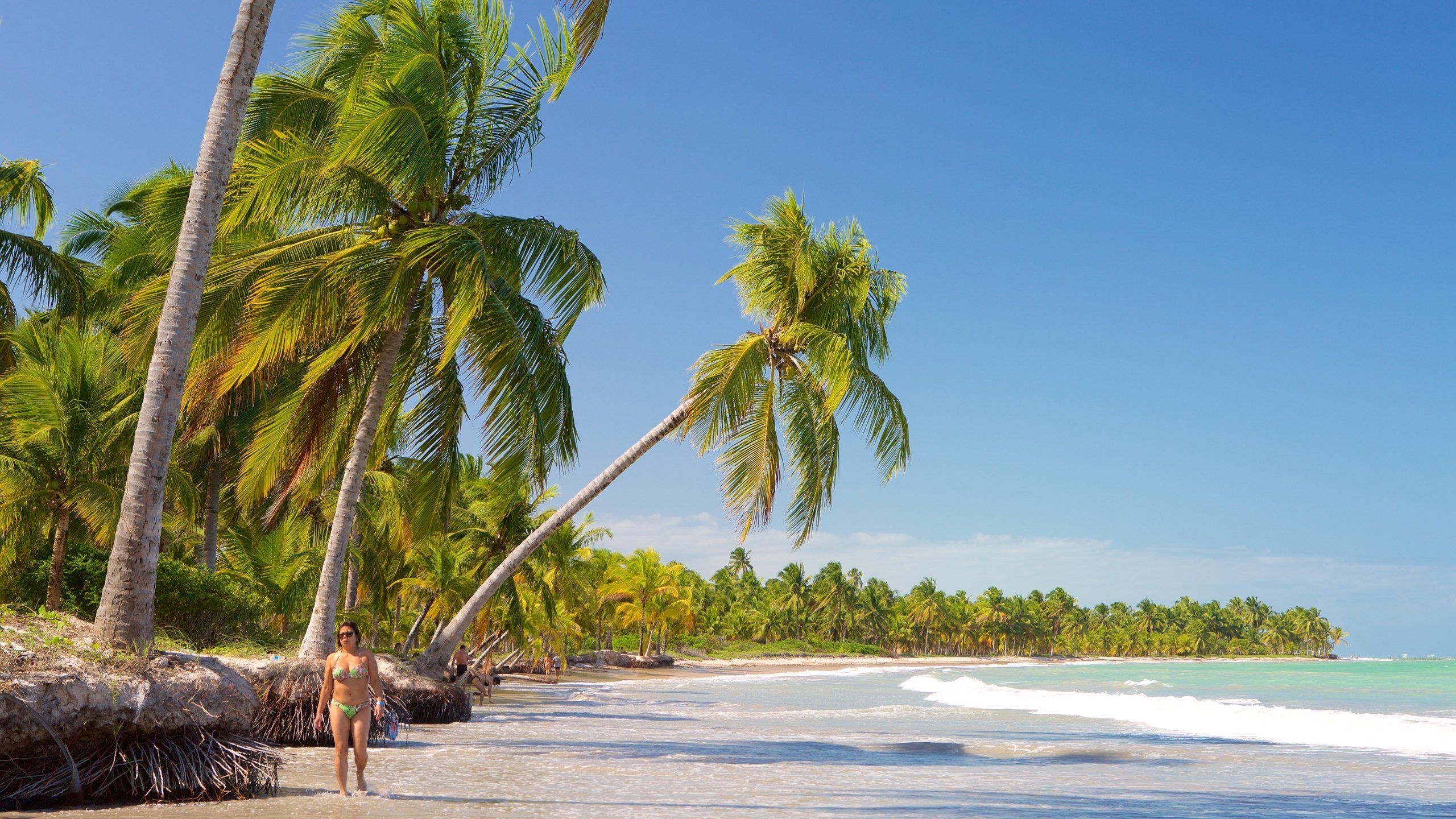 2560x1440 Ipioca Beach in Alagoas