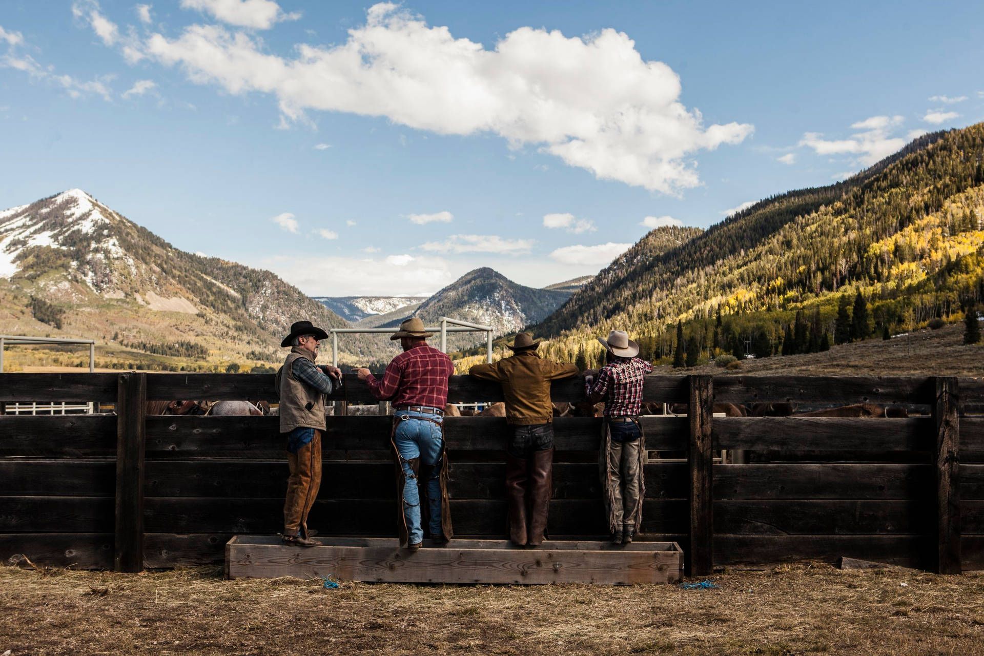 1920x1280 Download Yellowstone Tv Show Cowboy