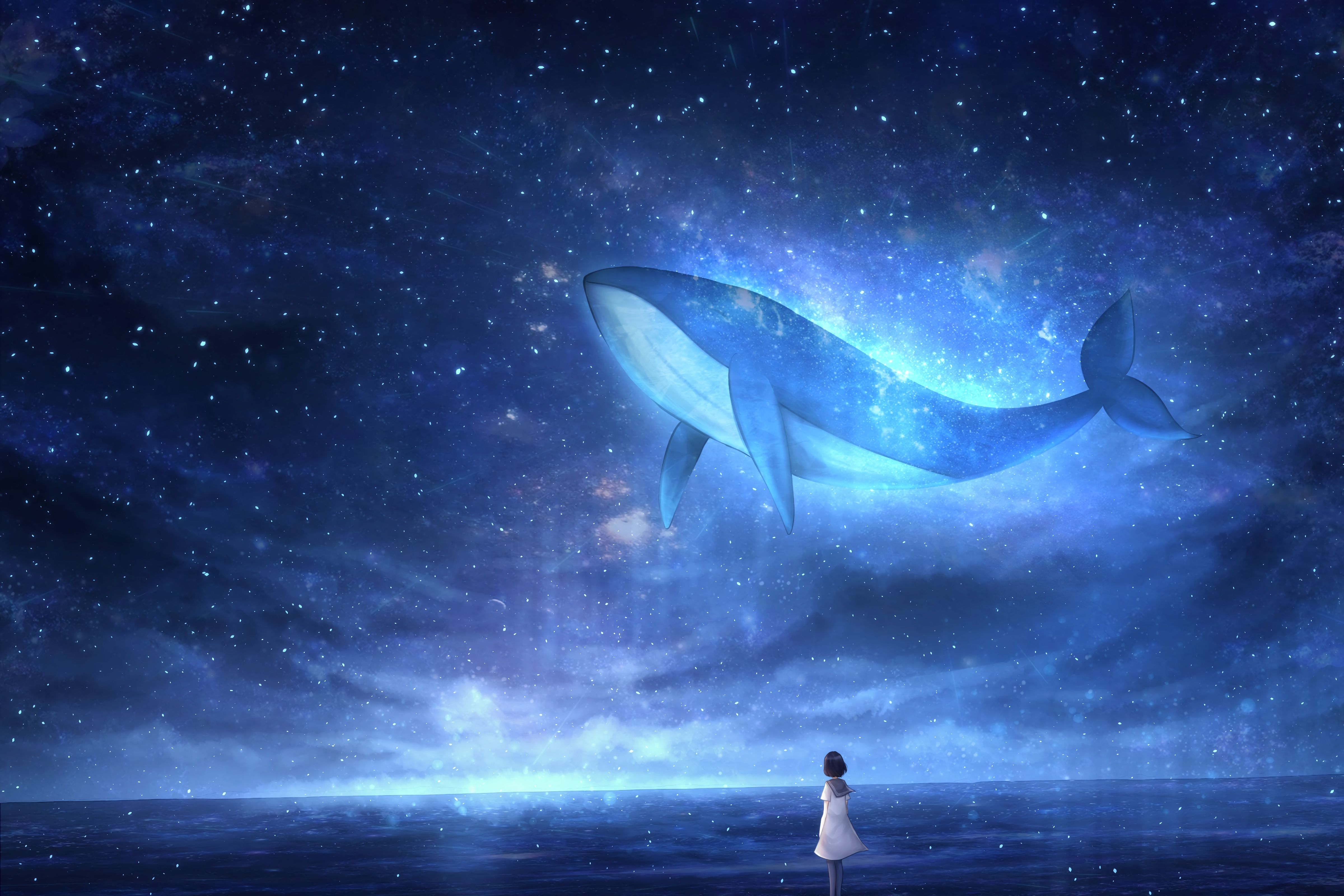 4800x3200 Whale wallpaper for mobile phone