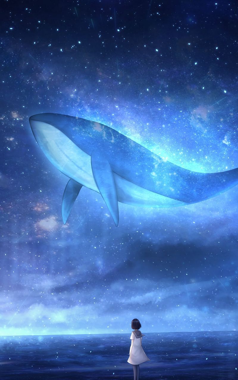 800x1280 Whale Art Wallpaper
