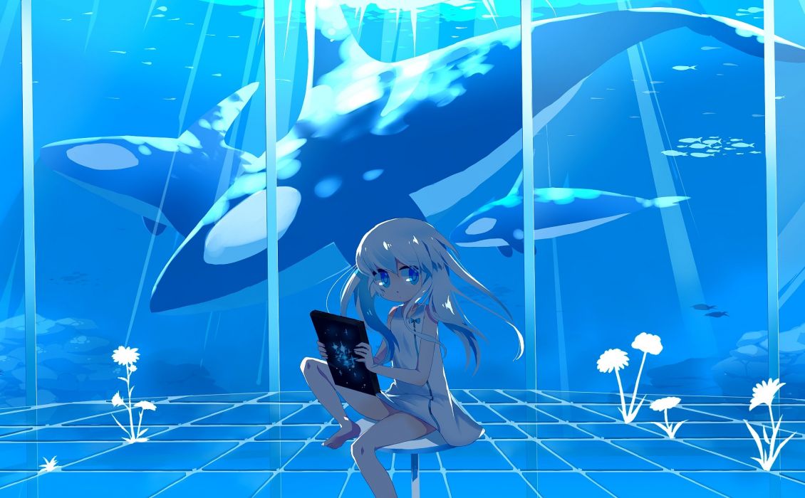 1130x700 Water nature orca killer whales anime