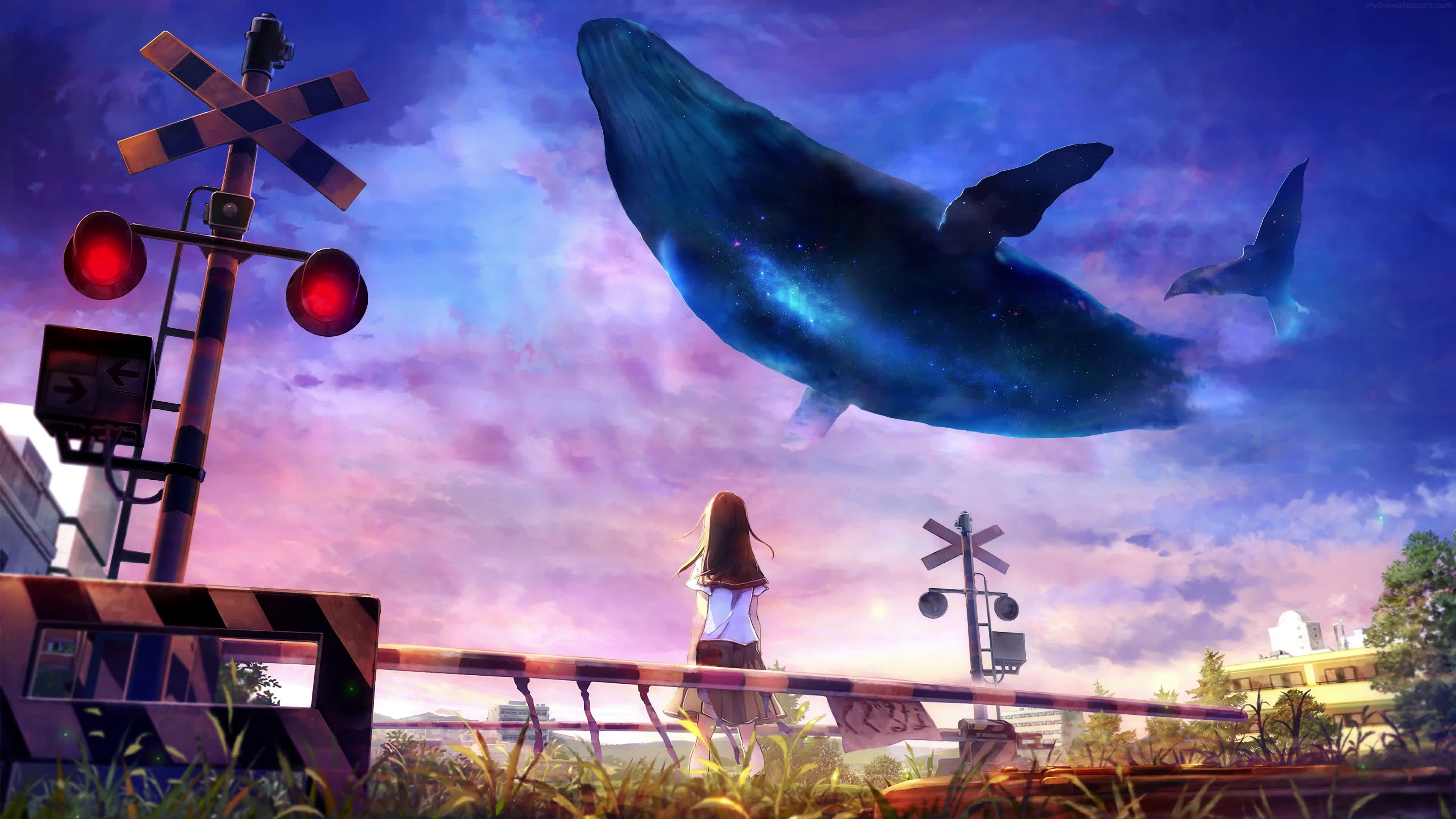 3840x2160 Sky Whale Near Train Tracks and Girl 4K