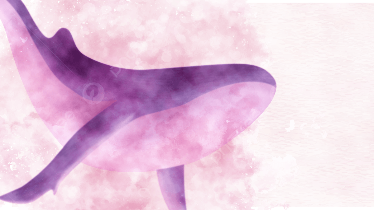 1200x675 Dream Clear Animation Whale Background