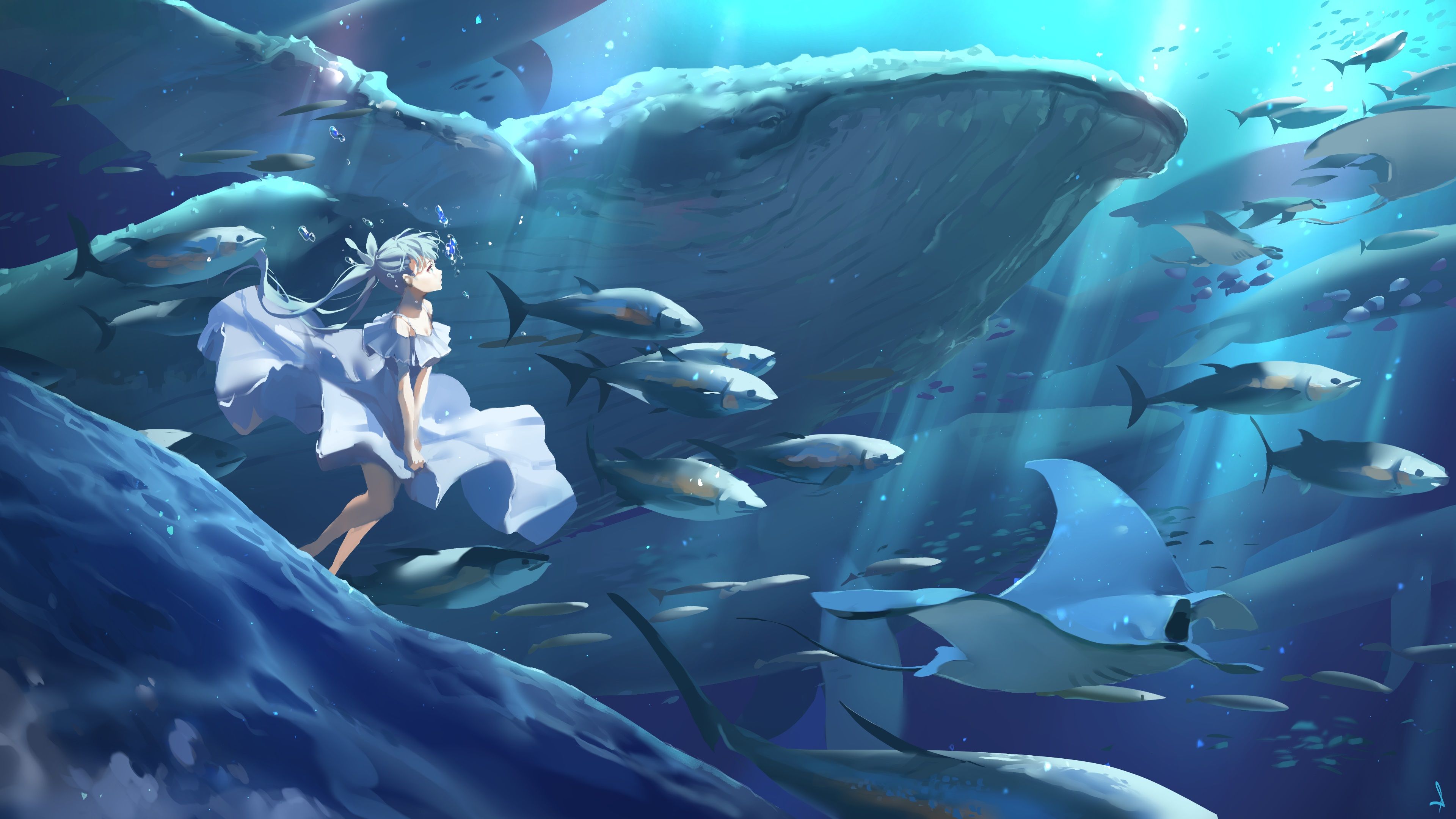 3840x2160 Anime Girl Underwater With Sealife
