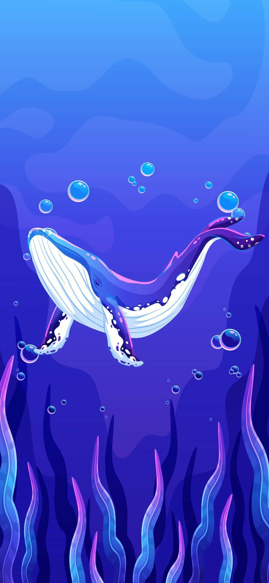887x1920 Blue Whale Picture