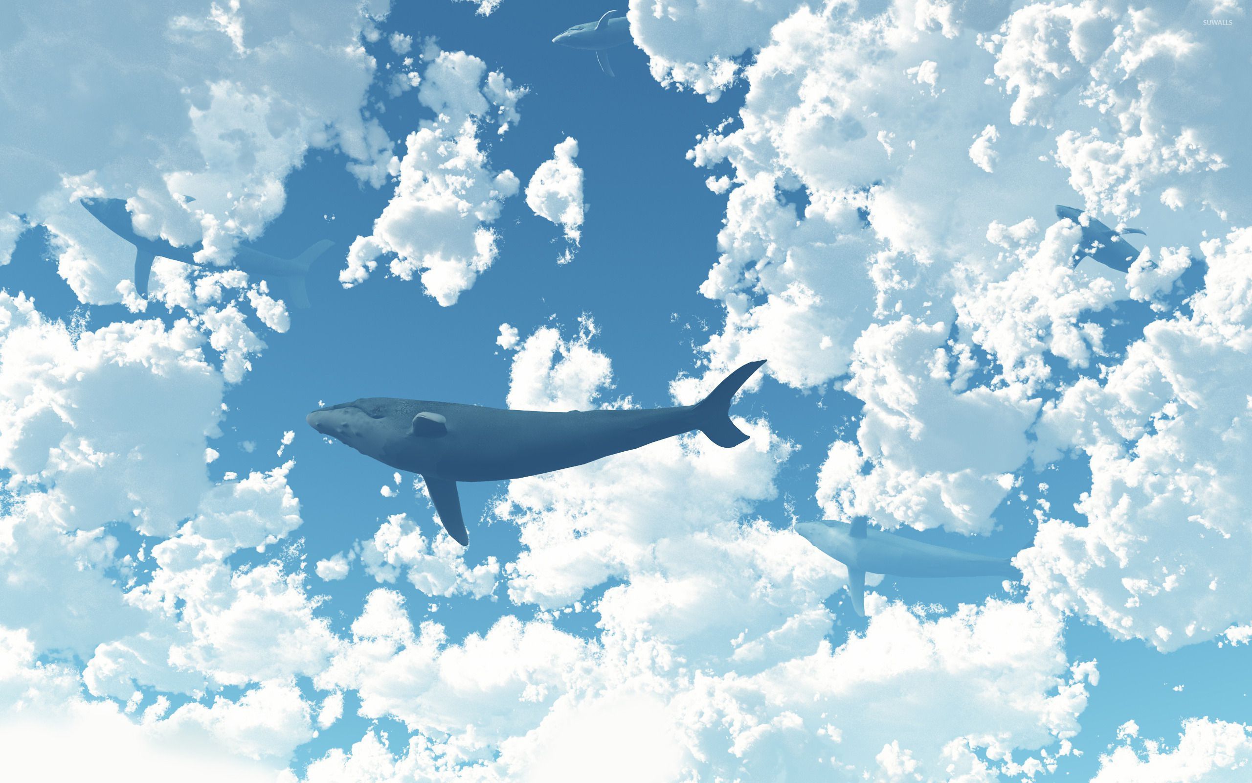 2560x1600 Whale in the sky [2] wallpaper wallpaper