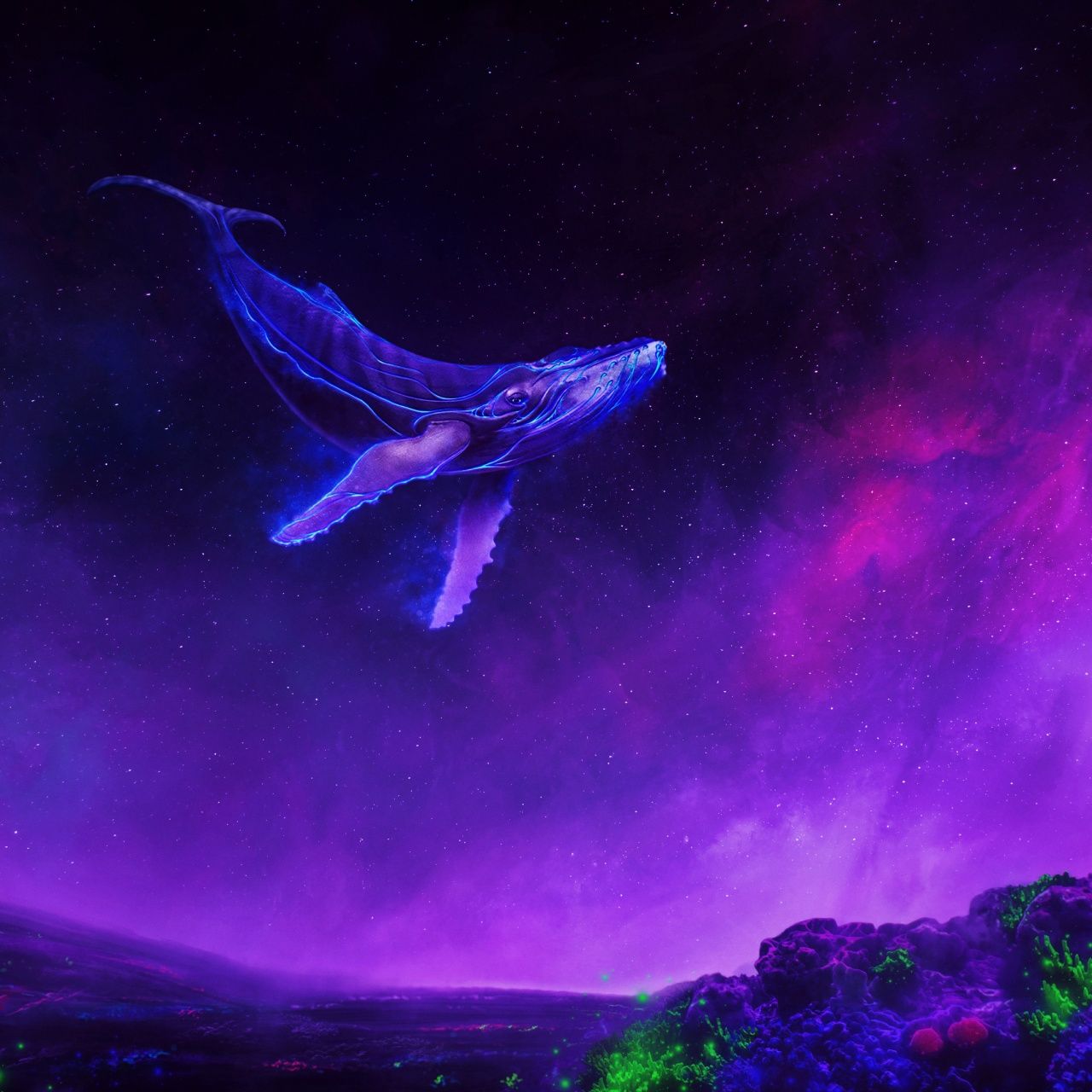 Whale Anime Wallpapers - Top Free Whale Anime Backgrounds - WallpaperAccess