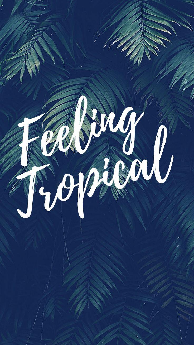 736x1308 Cute Summer Wallpaper Beautiful Summer Lovin Quotes iPhone