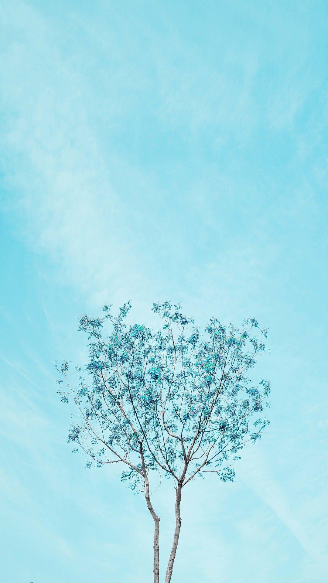 1080x1920 Pacific Foliage Minimalist Wallpaper Phone, Blue Wallpaper