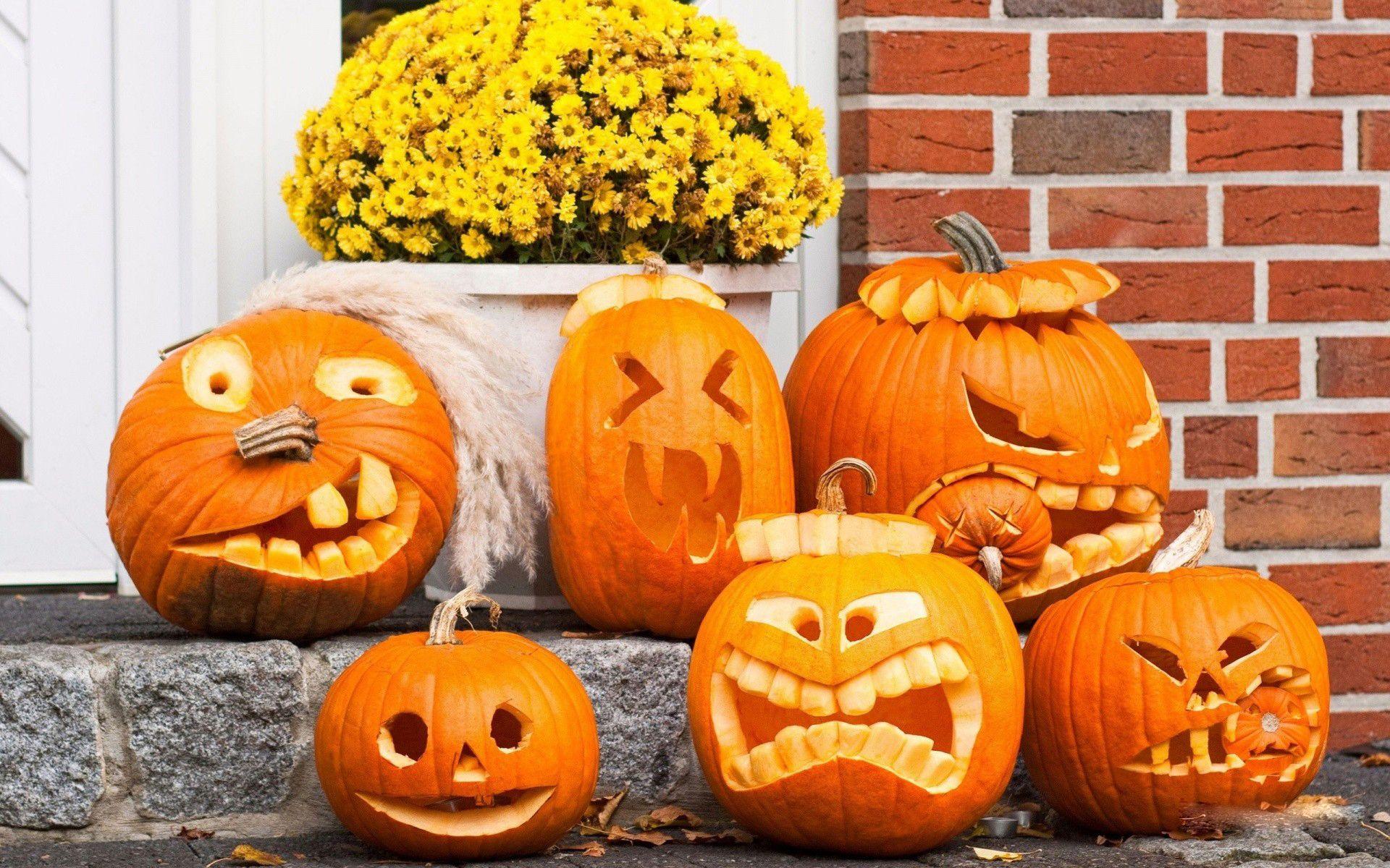 1920x1200 Free HD Pumpkin Wallpaper