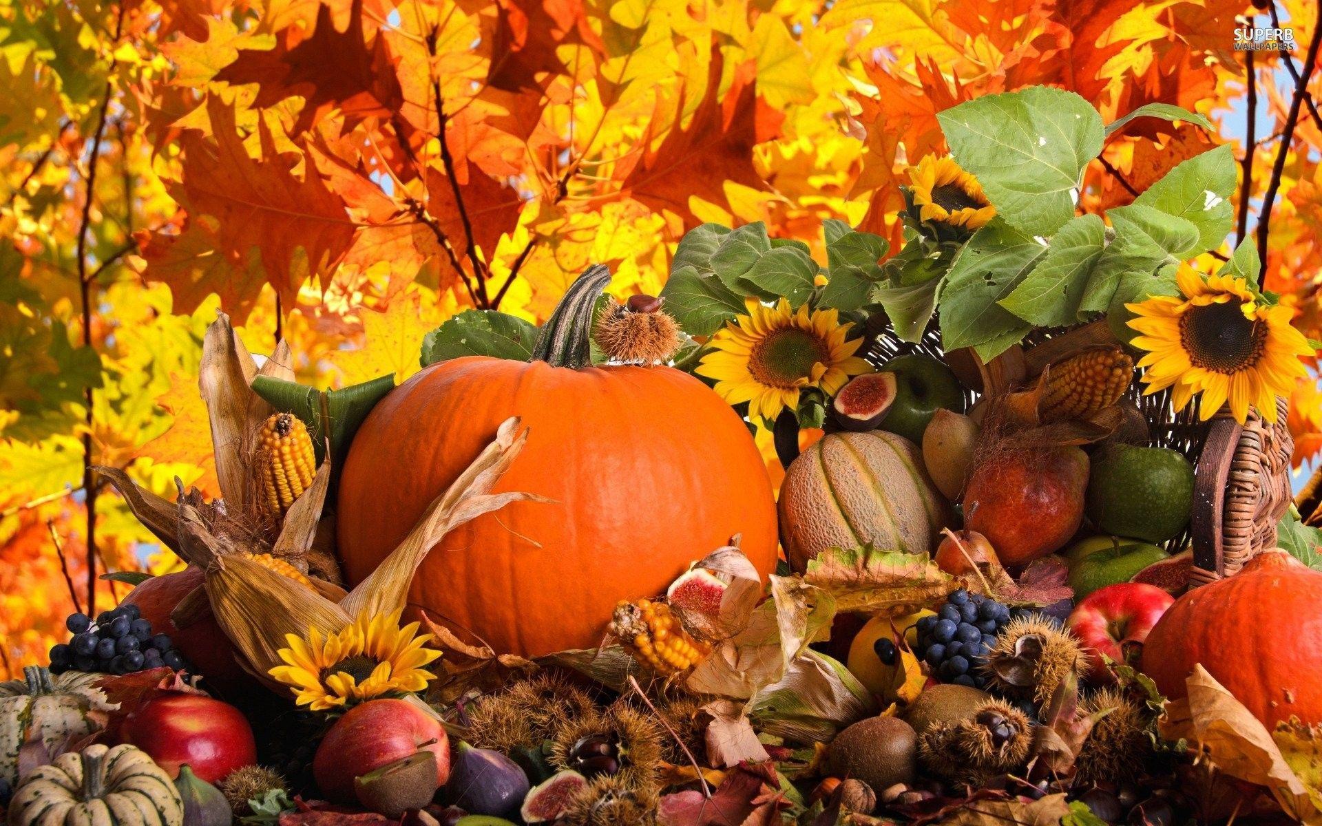 1920x1200 Pumpkin backgroundDownload free full HD background