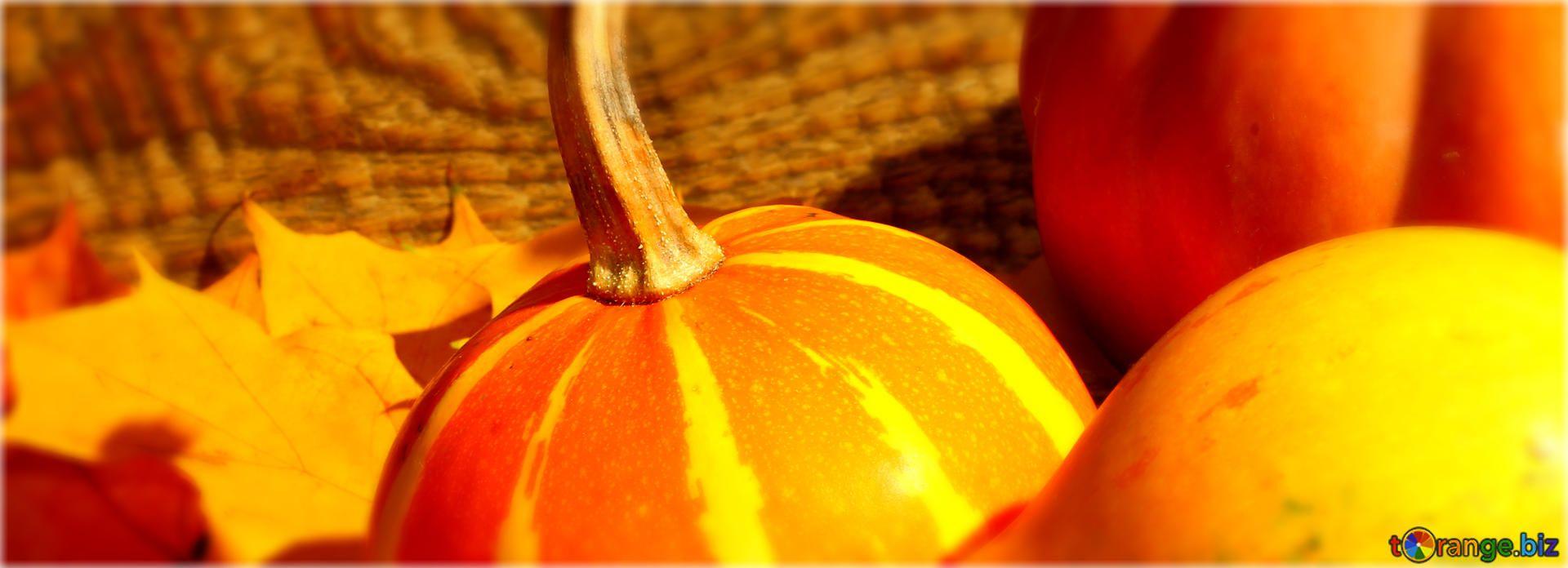 1920x696 Download free picture Cover. Wallpaper for desktop pumpkins