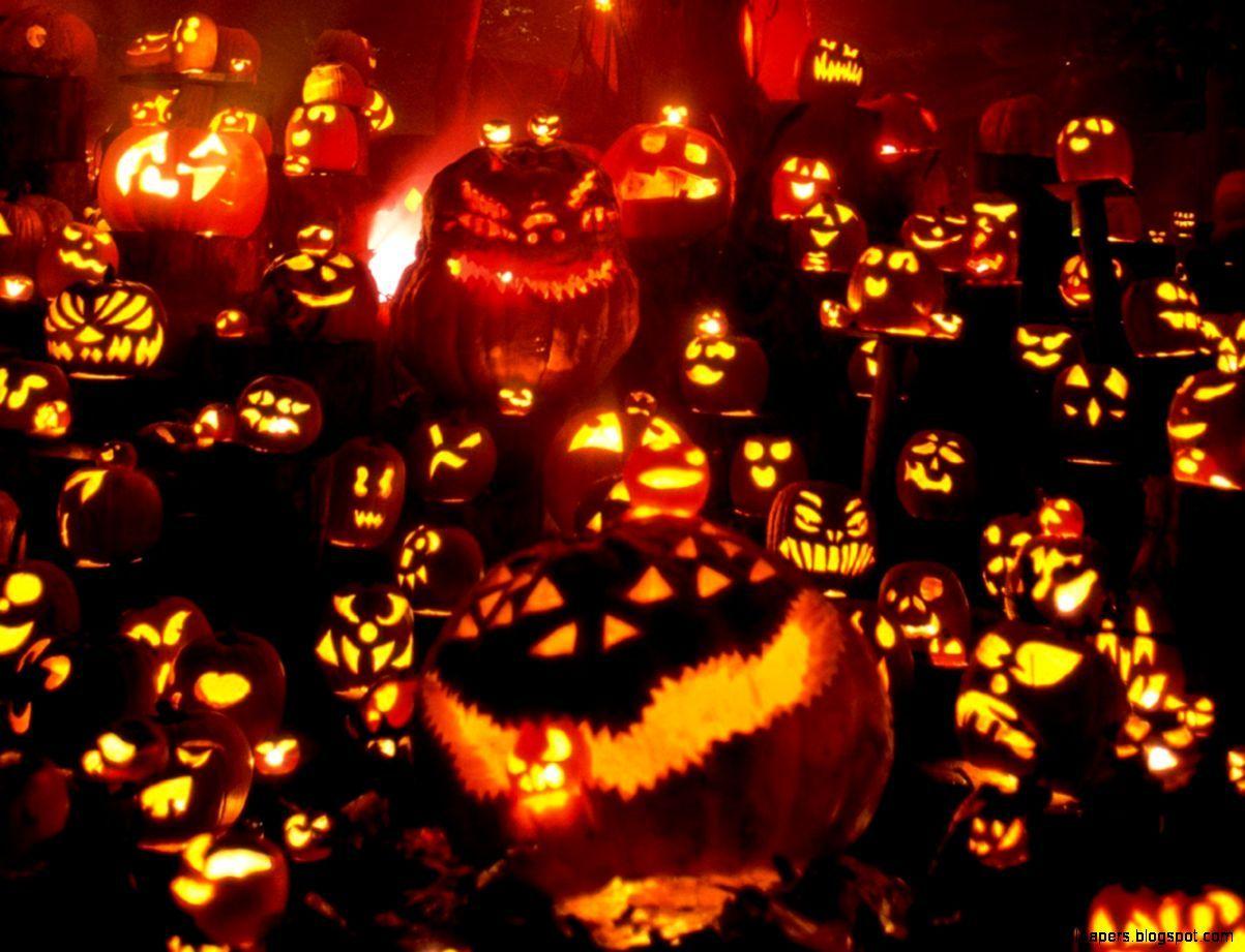 1203x921 Halloween Pumpkin Wallpaper HD