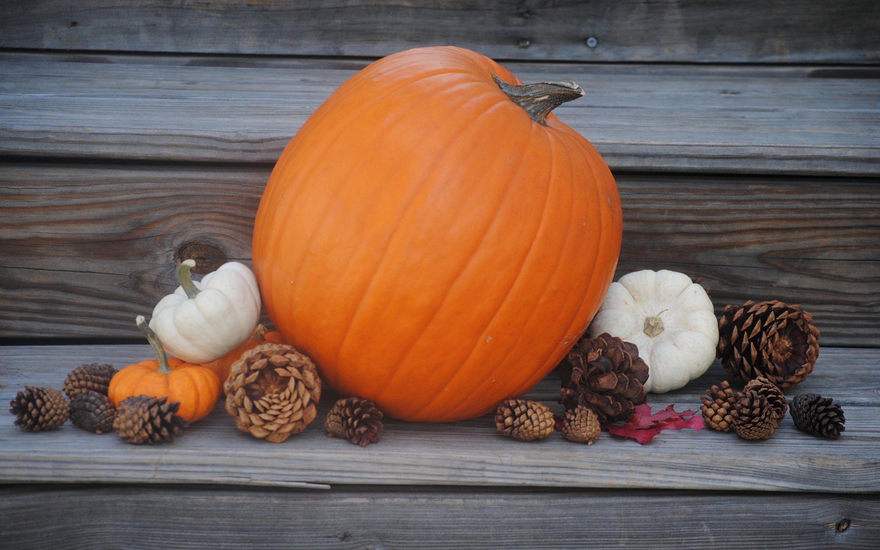 2880x1800 Pumpkin wallpaper Gallery