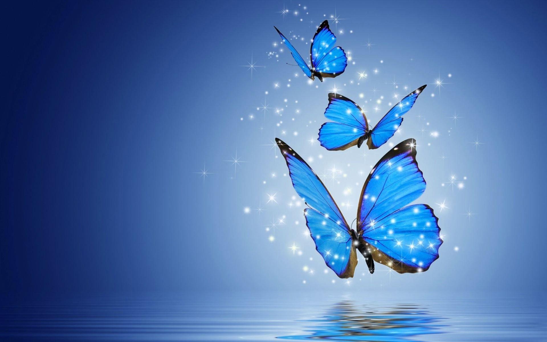 Blue Butterfly Desktop Wallpapers - Top Free Blue Butterfly Desktop  Backgrounds - WallpaperAccess