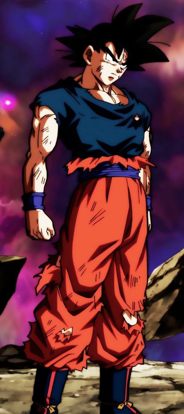 602x1349 difference between CC Goku and DBS Goku