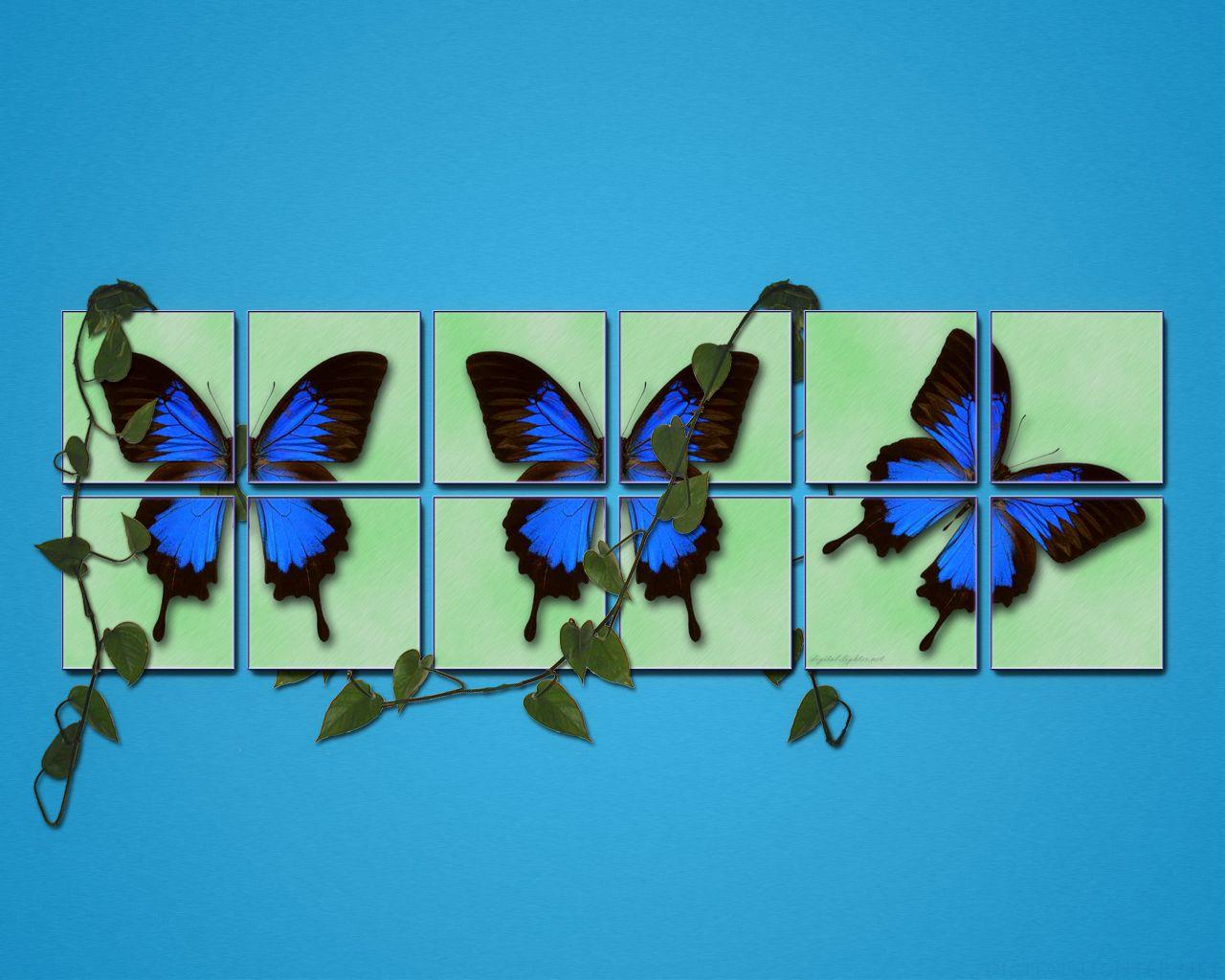 1280x1024 Spring blue butterfly Windows 7 Scenery Desktop Wallpaper