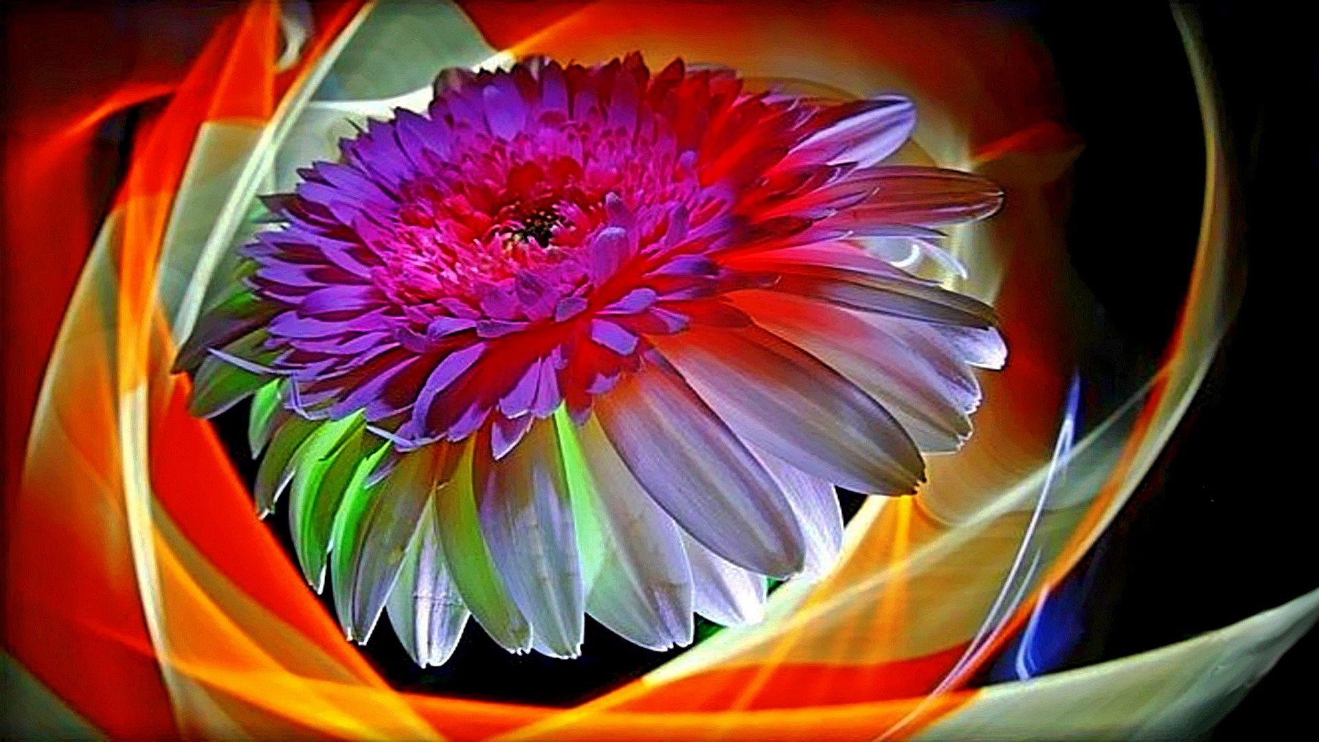 1920x1080 bright floral wallpaper and writing desktop wallpaper