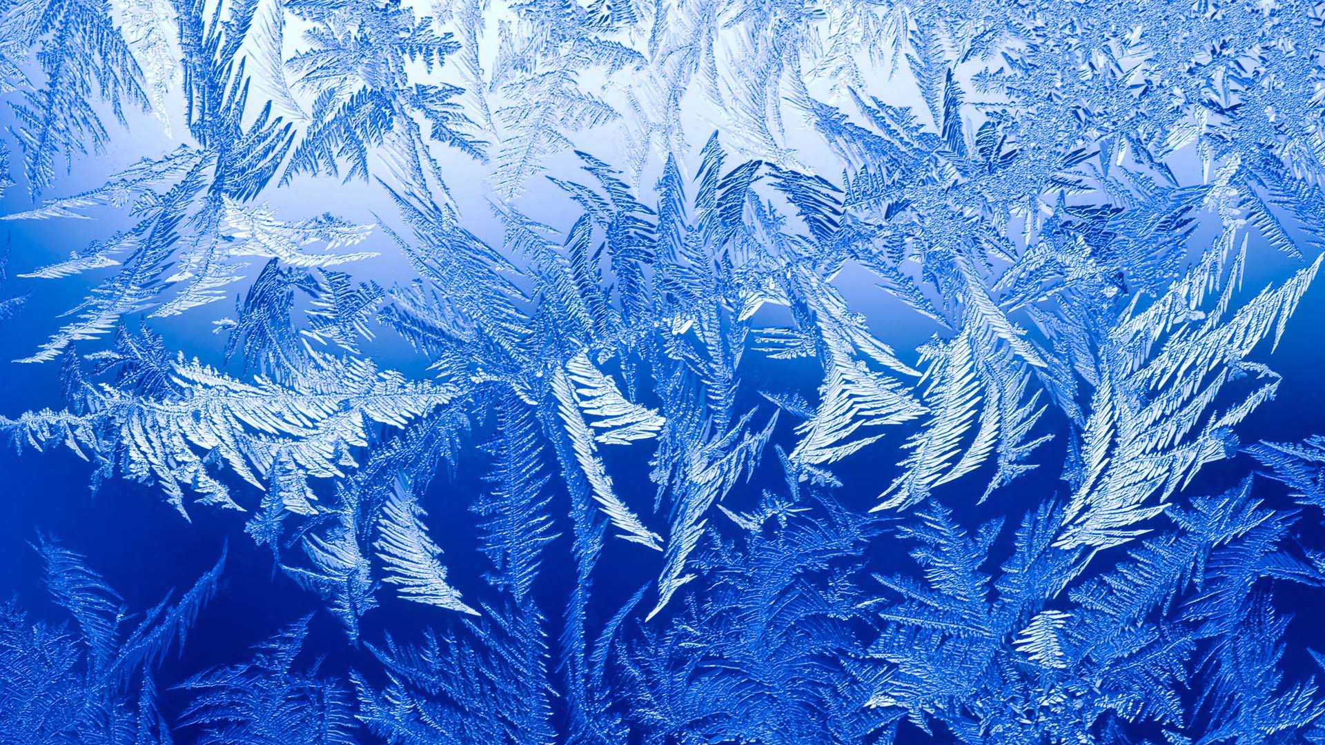 1920x1080 Snowflake Pattern desktop PC and Mac wallpaper