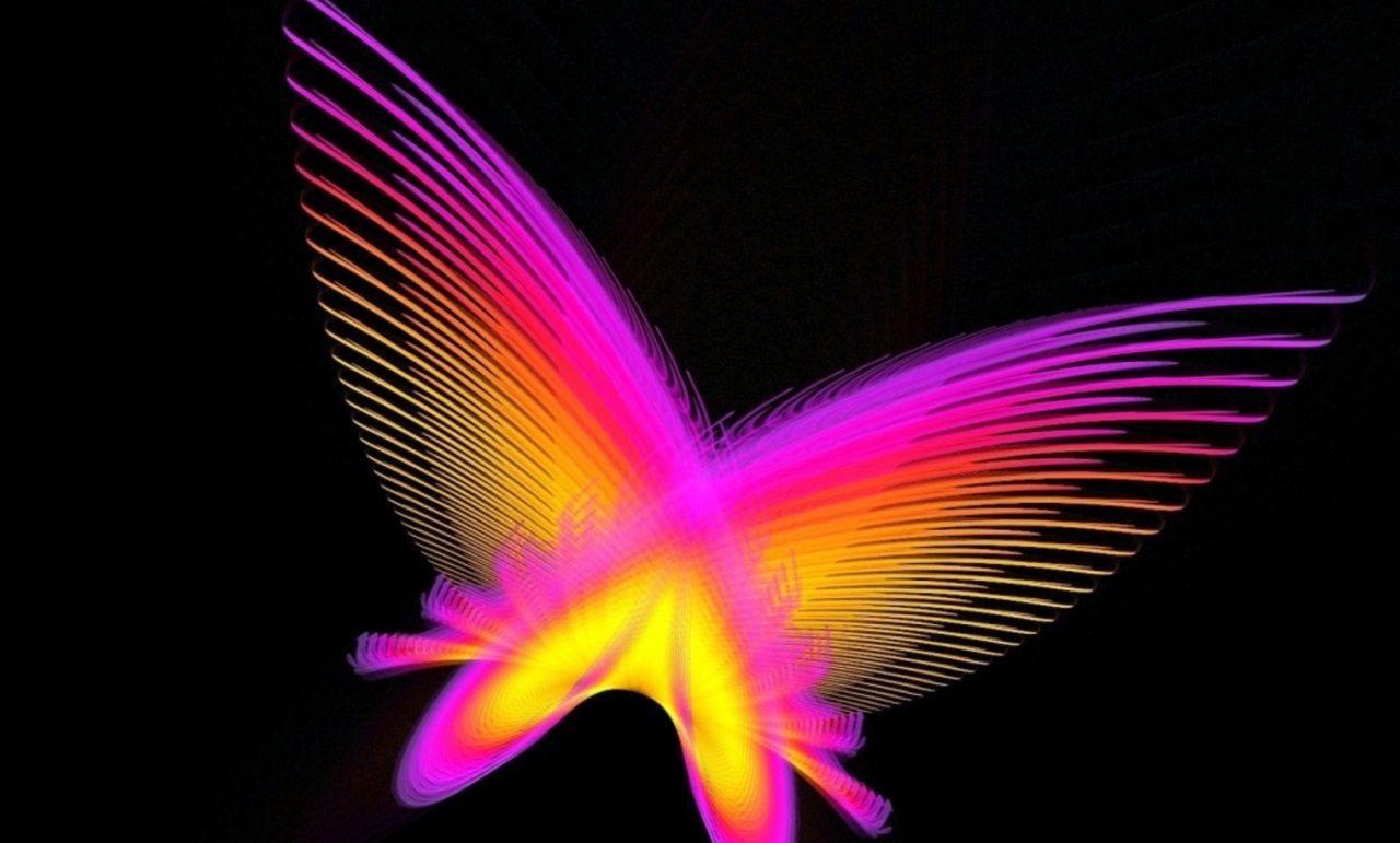 1280x771 Neon Background. Neon Butterfly Wallpaper. Neonn<3