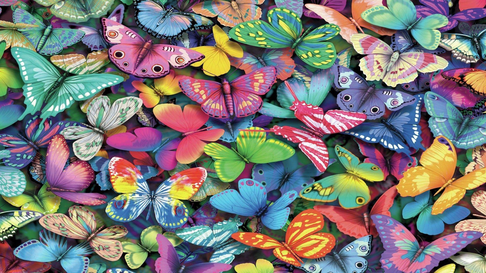 1920x1080 Butterfly Desktop Background