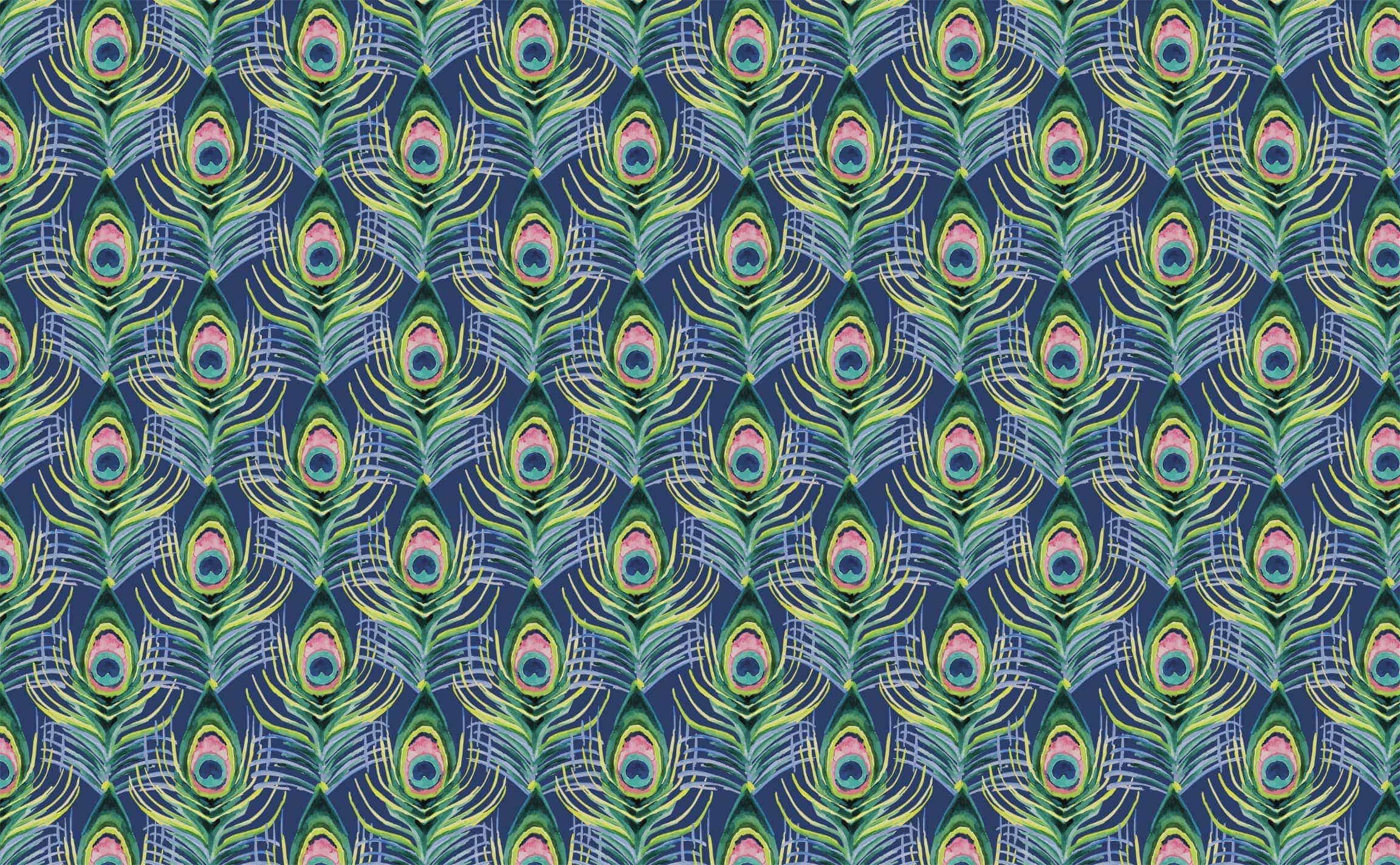 2304x1424 peacock feathers with royal blue hues