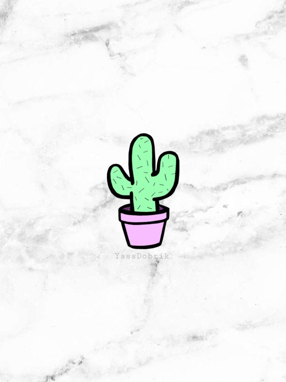  Aesthetic  Cactus  Wallpapers  Top Free Aesthetic  Cactus  