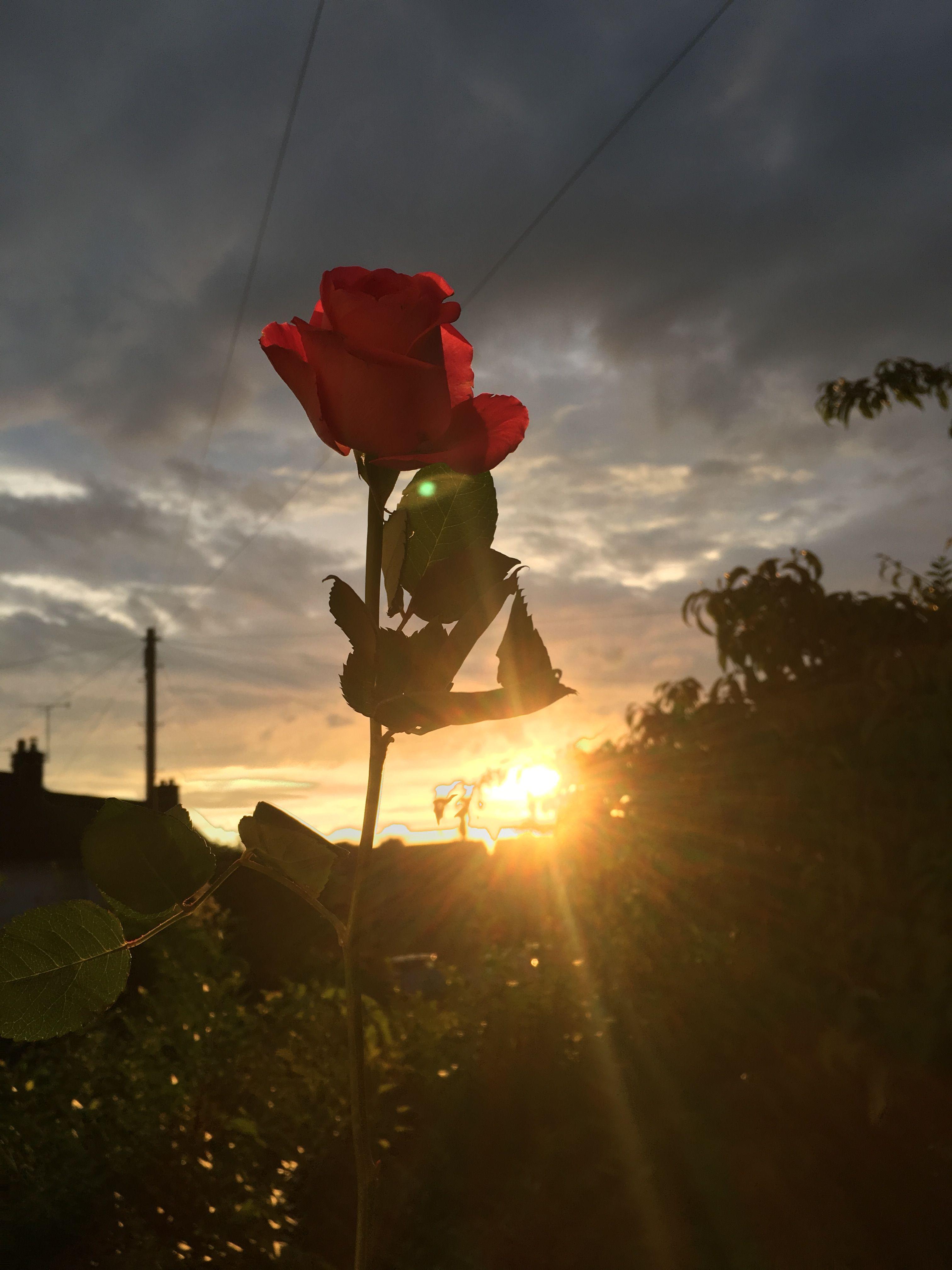 Sunrise Aesthetic Wallpapers - Top Free Sunrise Aesthetic Backgrounds ...