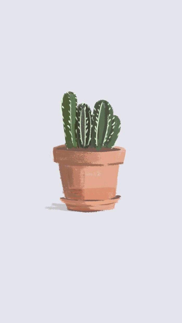  Aesthetic  Cactus  Wallpapers  Top Free Aesthetic  Cactus  