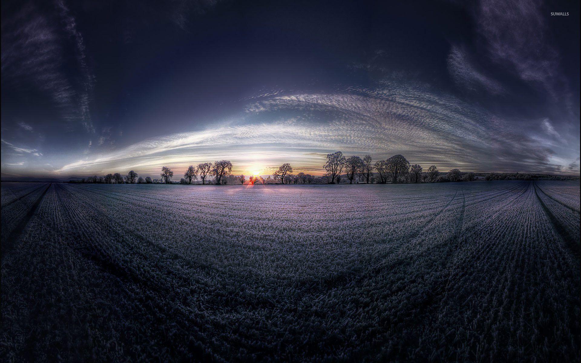 1920x1200 Sunset over the lavender field wallpaper