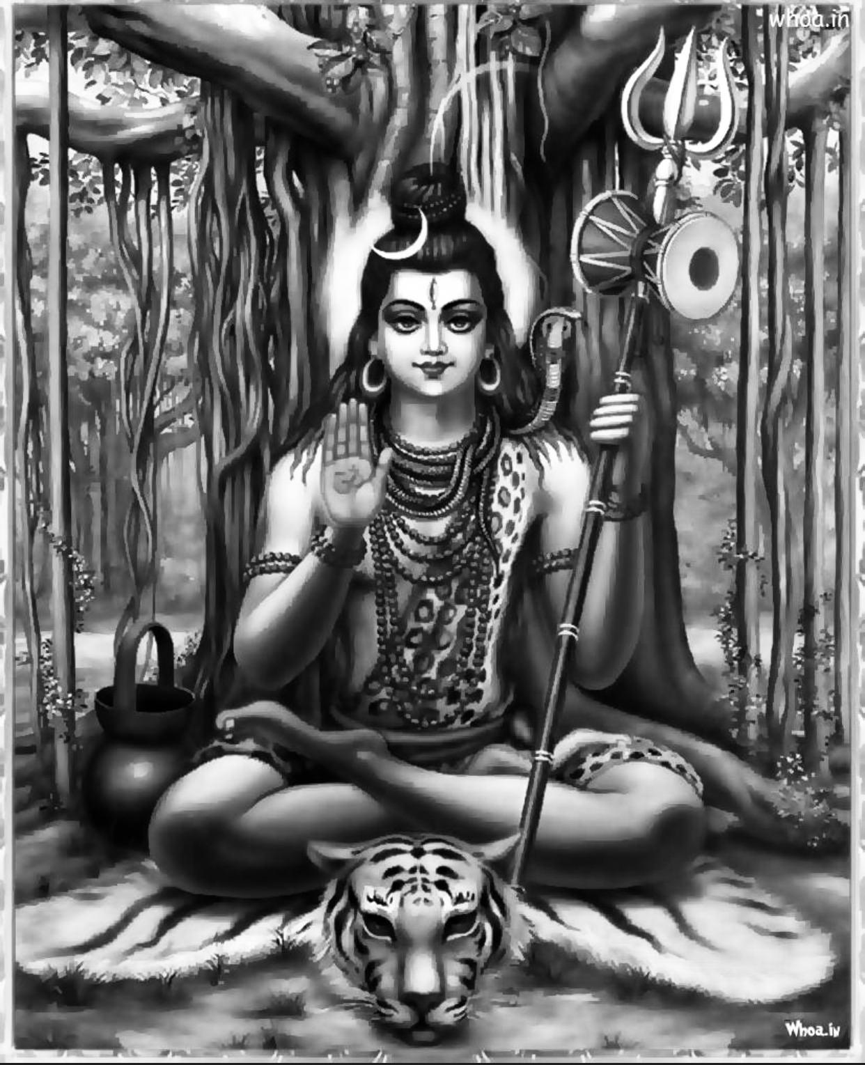 1242x1529 hình nền Chúa Shiva