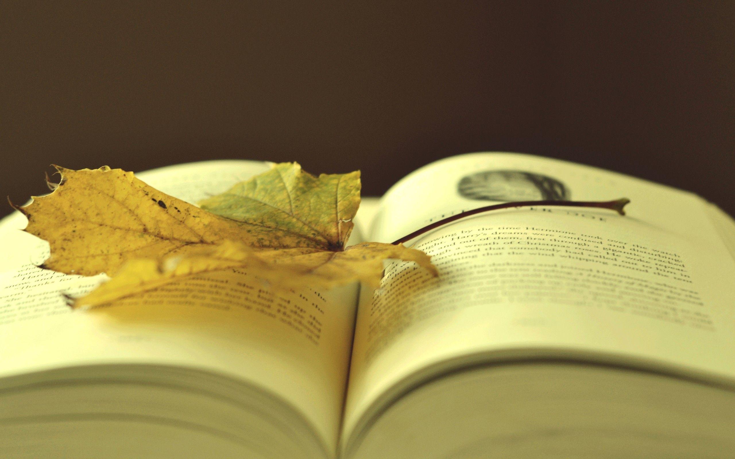 2560x1600 Book HD Hình nền và Hình nền