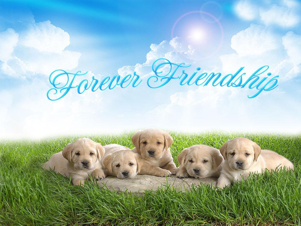 1024x768 Cute Friendship Wallpaper HD Wallpaper Collections