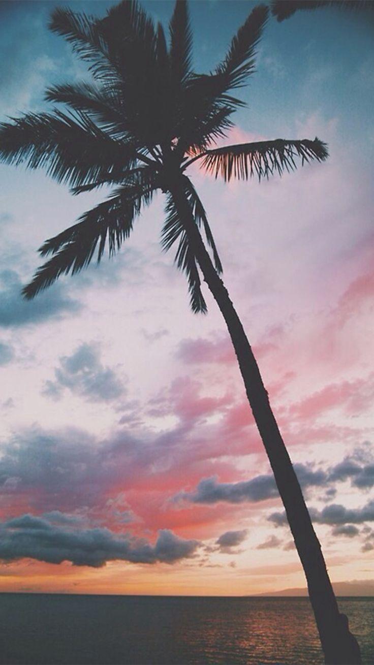 736x1309 Girly Sunset Wallpaper