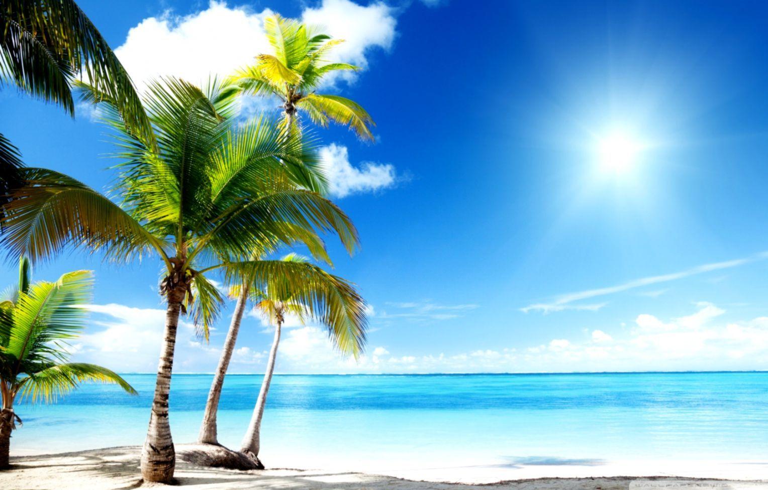 1528x976 Summer Beach Paradise Wallpaper