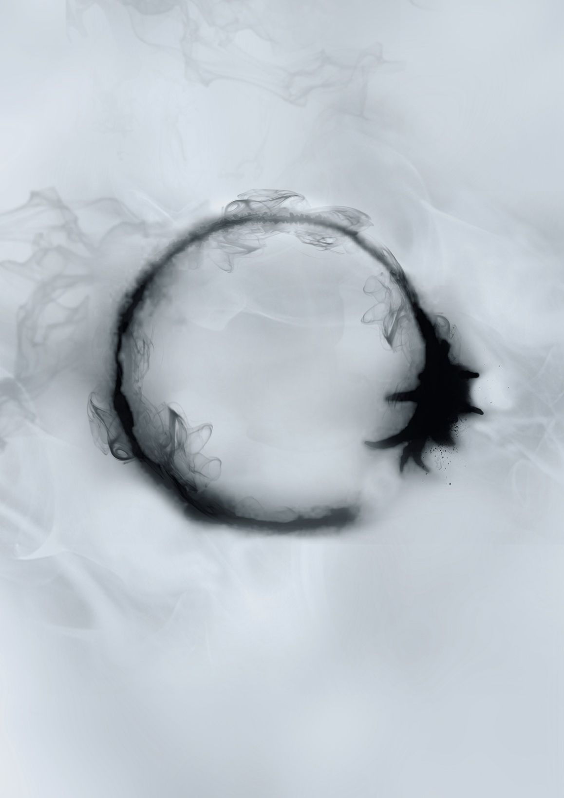 1158x1638 Arrival Alternative Movie Poster