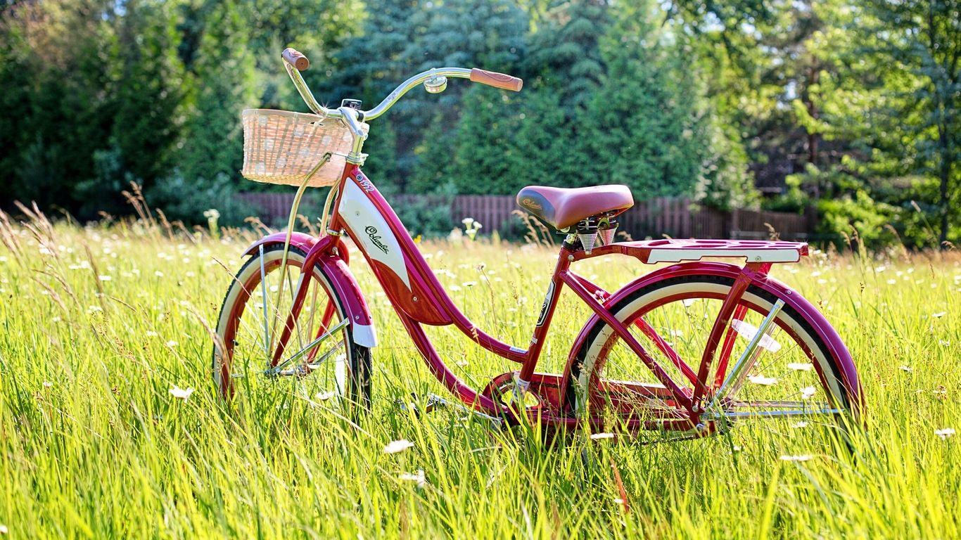 1366x768 Download wallpaper 1366x768 bicycle, summer, vintage