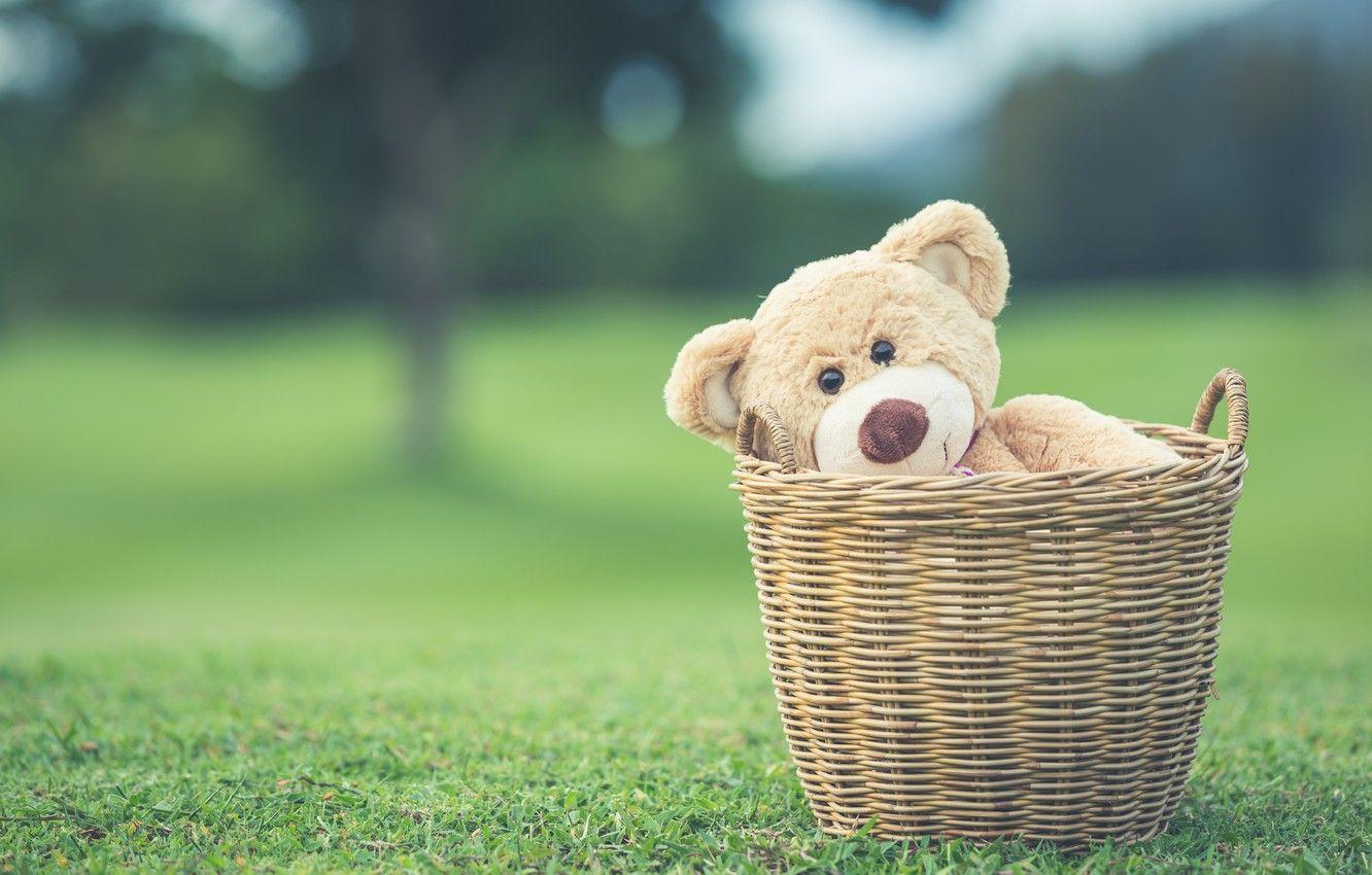 1332x850 Wallpaper summer, basket, toy, bear, bear, summer, vintage