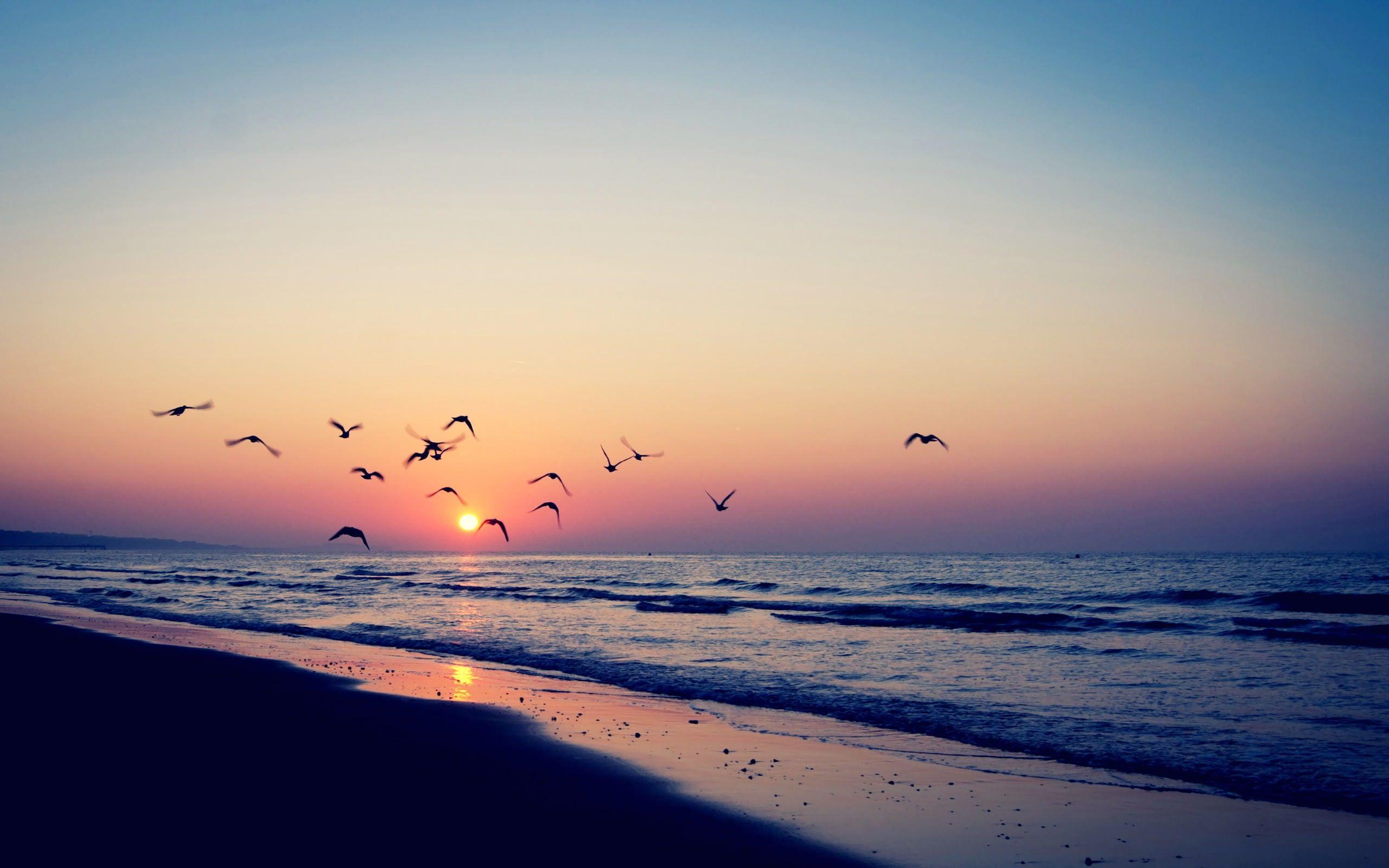 2560x1600 Vintage Nature Wallpaper