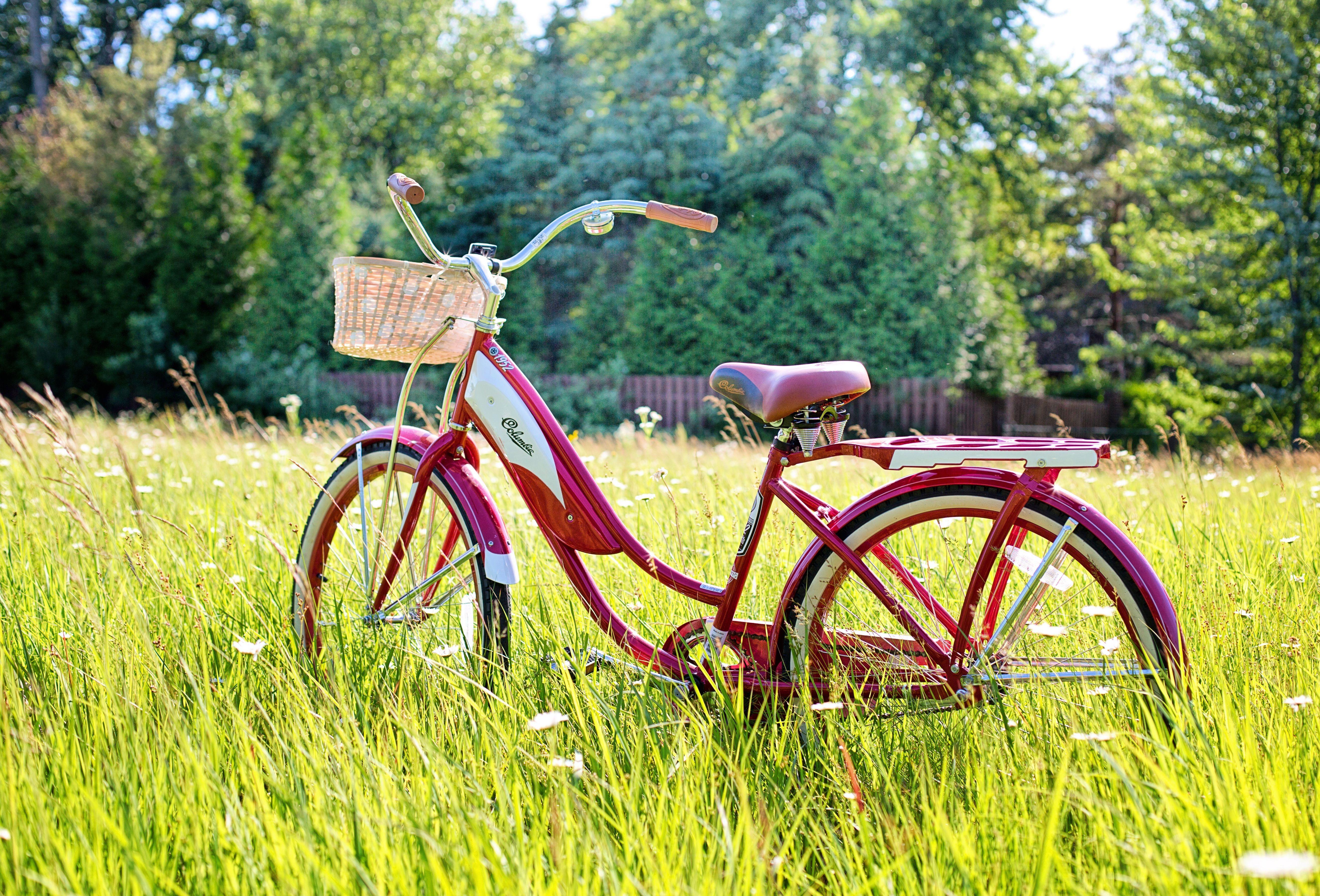 5304x3600 Download wallpaper 5304x3600 bicycle, summer, vintage